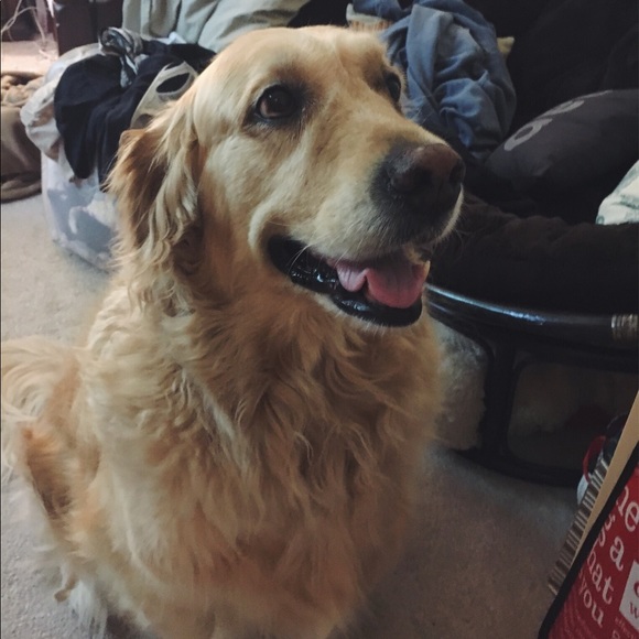 Meet your Posher, Evelyn - Picture 1 of 1